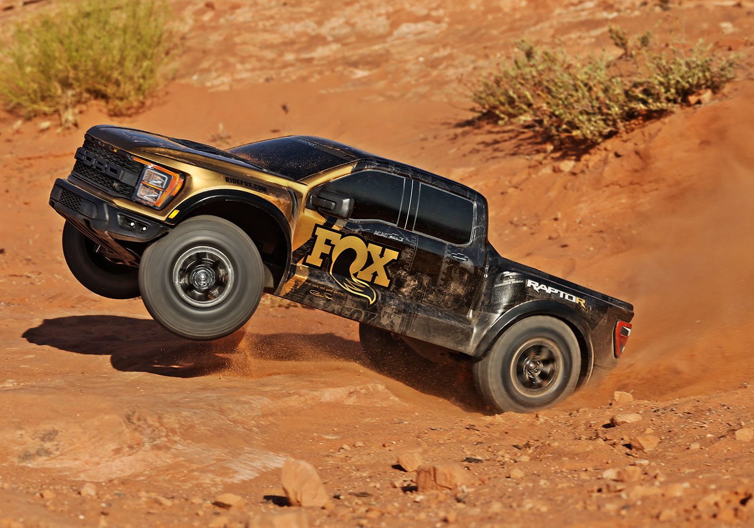 101177 4 RaptoR Action GOLD 7045 1